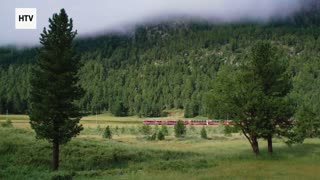 Echoes of the Wild Heart