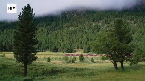 Echoes of the Wild Heart