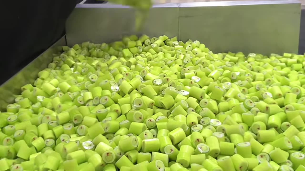 🤩💻 Amazing Tools in Action! | FeedMyCuriosity