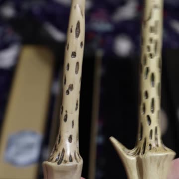 Lord Voldemort Wand Comparison!