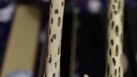 Lord Voldemort Wand Comparison!