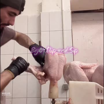 Happy Thanksgiving to you and yours from Bigo Clip and Sip-Dude is on Bigo too btw 11/25/25 #bigoclipandsip