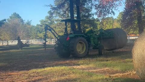 Doing our part so the animals can create another mess