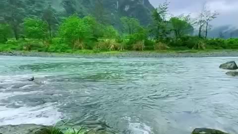 ✨A serene environment that soothes the mind and brings peace