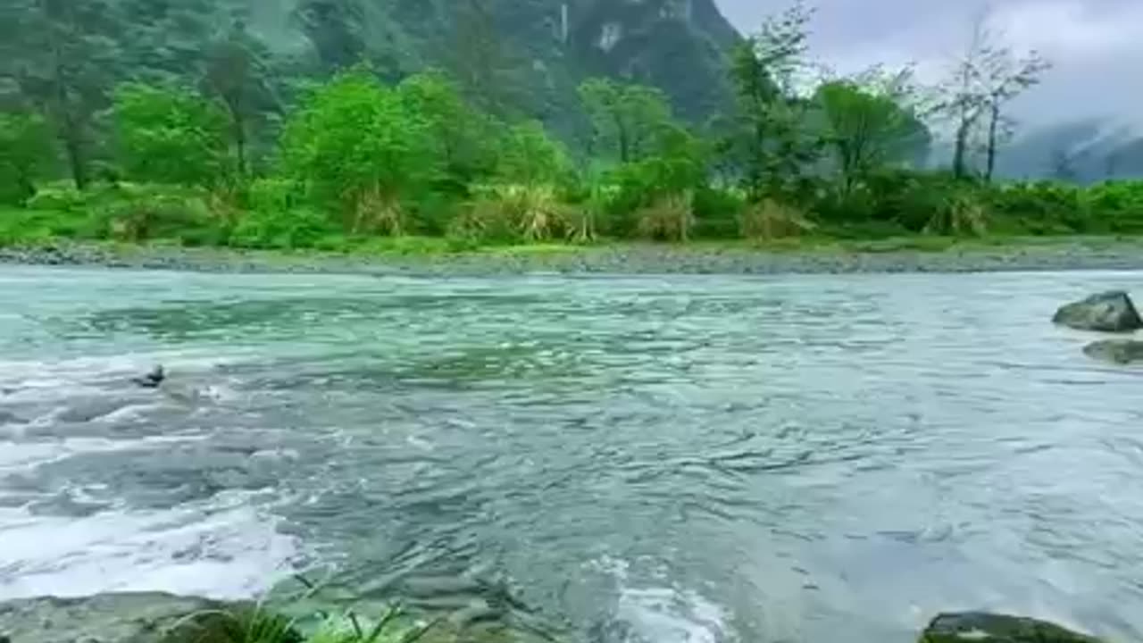 ✨A serene environment that soothes the mind and brings peace