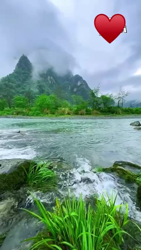 ✨A serene environment that soothes the mind and brings peace