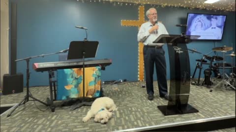 Things I Learned in My Fifty Years of Marriage