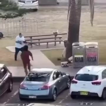 A hero at the Bondi Beach attack takes down the Jihadi scum