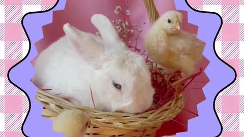 AVON Plush Easter Bunny