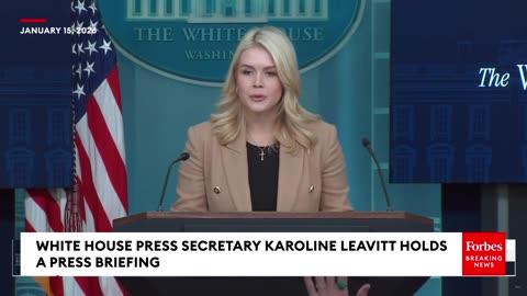 Reporter Asks Karoline Leavitt About Elon Musk's Grok