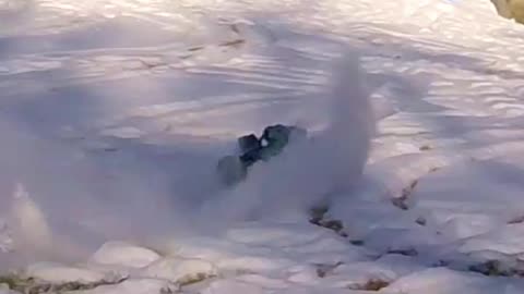 Snow?❄️Tear it up!🔥Rustler, Stampede 4x4 VXL, Pro-Line Sand Paws!😎