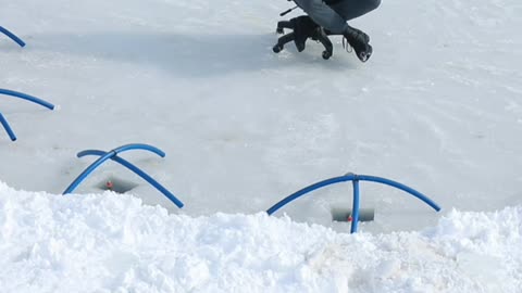Trout Fishing in a Frozen Lake