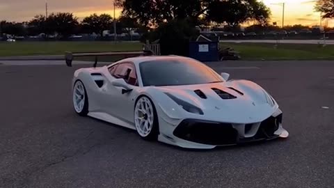 Pearl white 488 #car #perfection #sunset #pristine #white #cool #ferrari #488 #stance #low #frozen