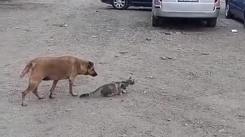 😮💥 Wait Until You See What Happens Next To This Guy! | FeedMyCuriosity