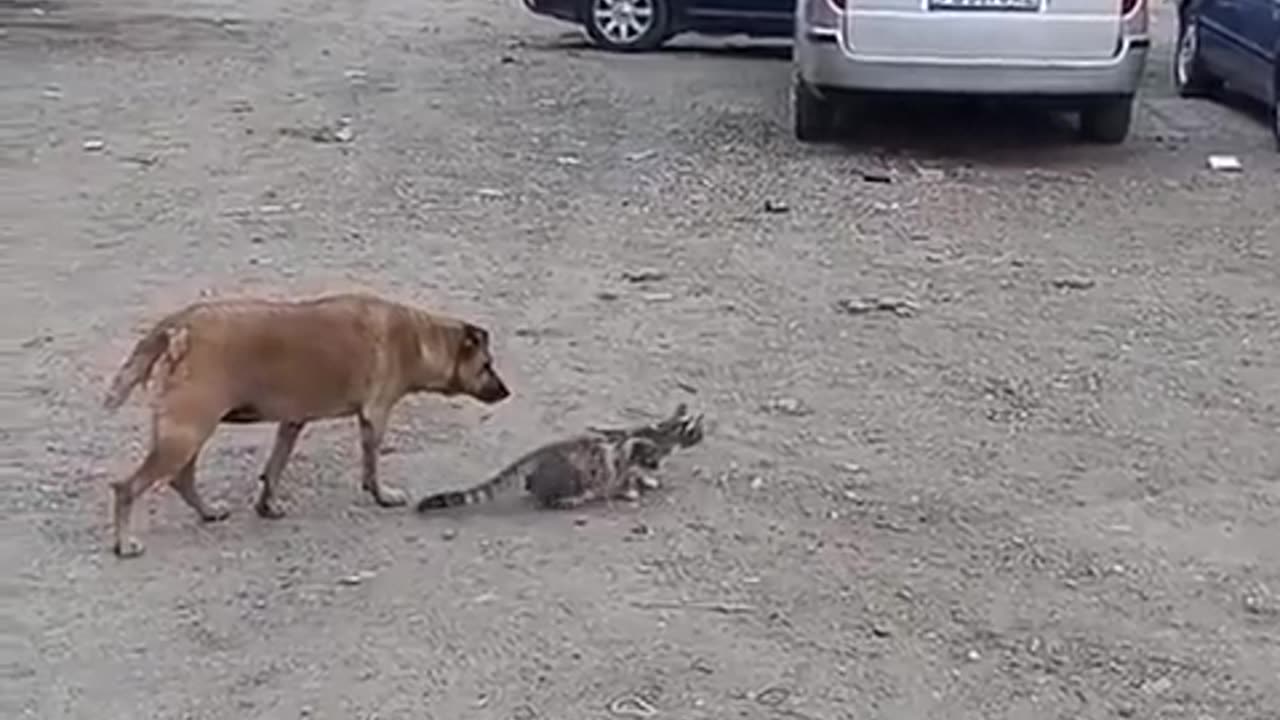 😮💥 Wait Until You See What Happens Next To This Guy! | FeedMyCuriosity
