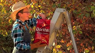 🤣🍟 Doritos Tree Commercial is Hilarious! | FunFM