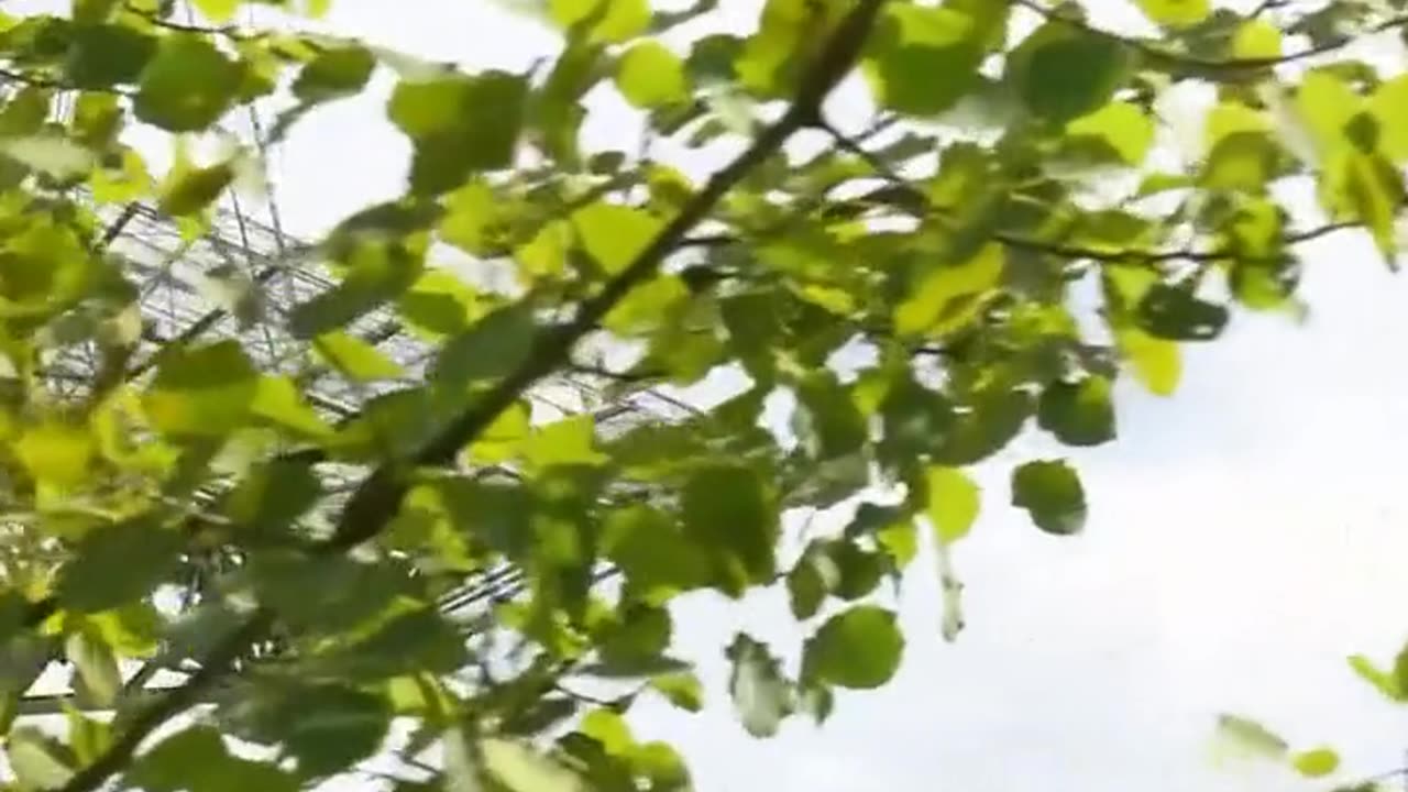 Daily Horoscope | Scorpio 🌟