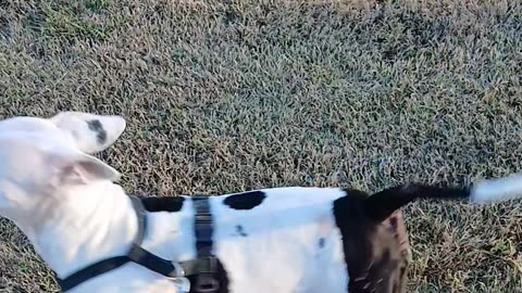 People can be #ASSHOLES