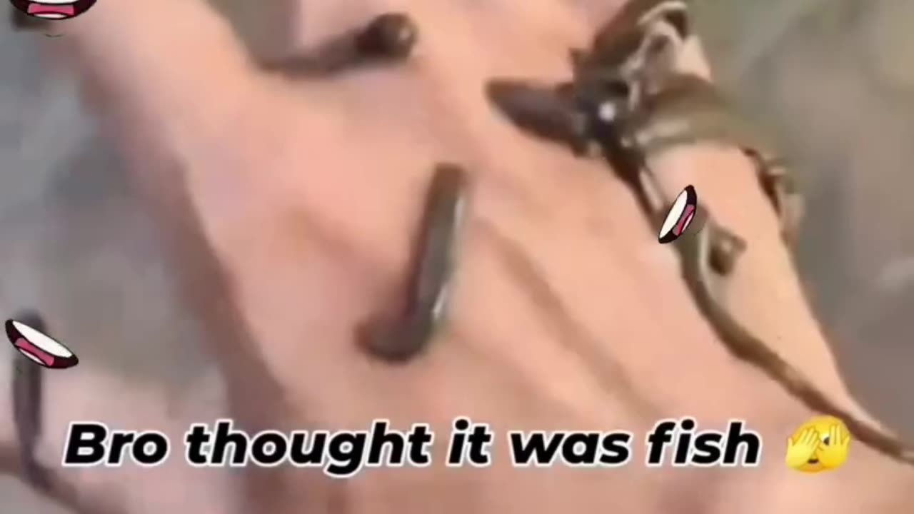😂🍴 You Won't Believe the Meal This Person Ordered! | FunFM