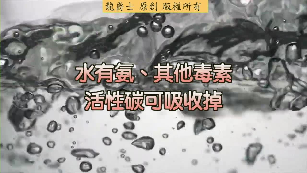 【龍爵士】千問千答 Q170-養龍魚建議放活性碳嗎會把水穩跟硝化菌吸收嗎