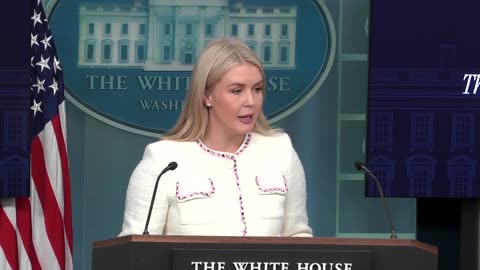 Meeting between Putin, Trump not off the table, says White House