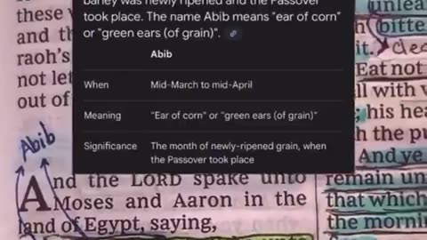 According to the Bible, the true New Year begins in the spring, around March or April