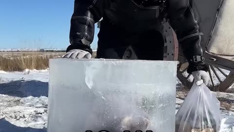 They Turn Ice Into Something Way More Valuable 🤯