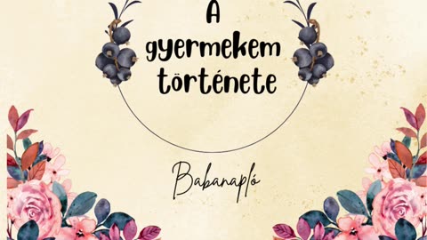 Babanapló : A gyermekem története. #elsőalkalommalanya #anya