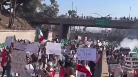 Anti-ICE Protesters Shut Down 101 Freeway in LA