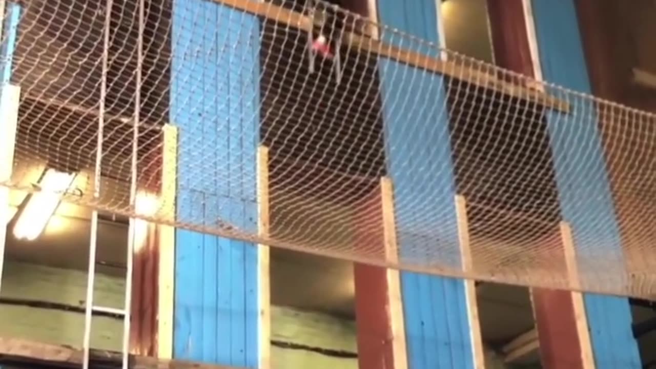 🏃‍♂️🔥 Wait For The Final Result... Firefighter Battles Ladder! | FeedMyCuriosity