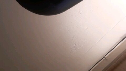 Demon Wolf girl, she's the biggest idiot.