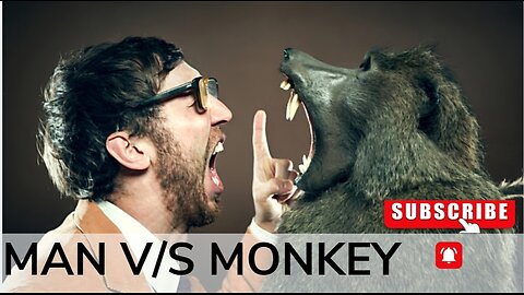 Man v/s Monkey in Electric pole 🔥🔥🔥🔥