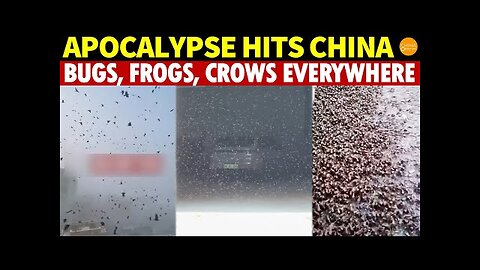 Apocalypse Hits China - Black Clouds of Bugs, Frogs and Crows Everywhere, and Flowers from the Abyss 