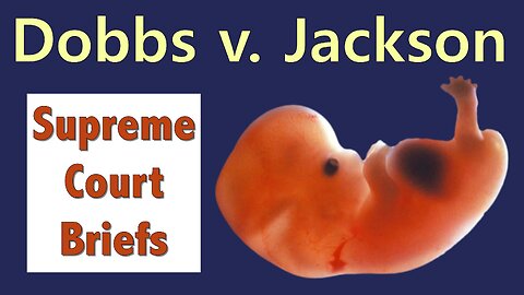 Abortion Is Illegal Again | Dobbs v. Jackson Women's Health Organization