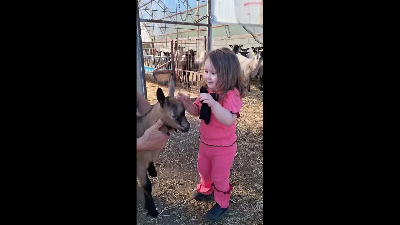 Kids and Pets 😆😆😅😂