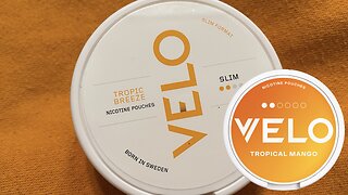 Velo Tropical Mango (Formerly Tropic Breeze) Nicotine Pouch Review