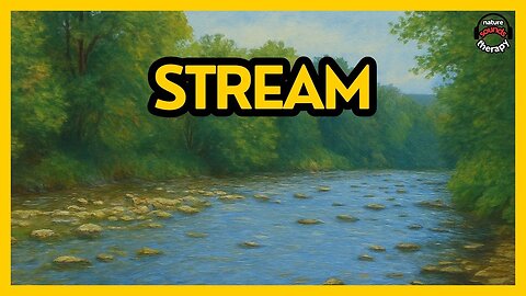 Shallow Forest River - Water Ambience for Sleep & Focus
