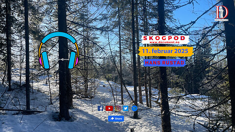 Skogpod 11. februar 2025