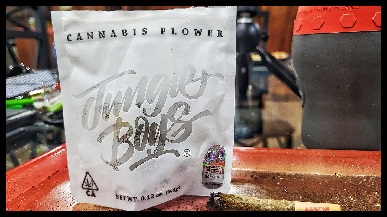 JUNGLE BOYS Purple SUNSET @ BUBBA FACTORY