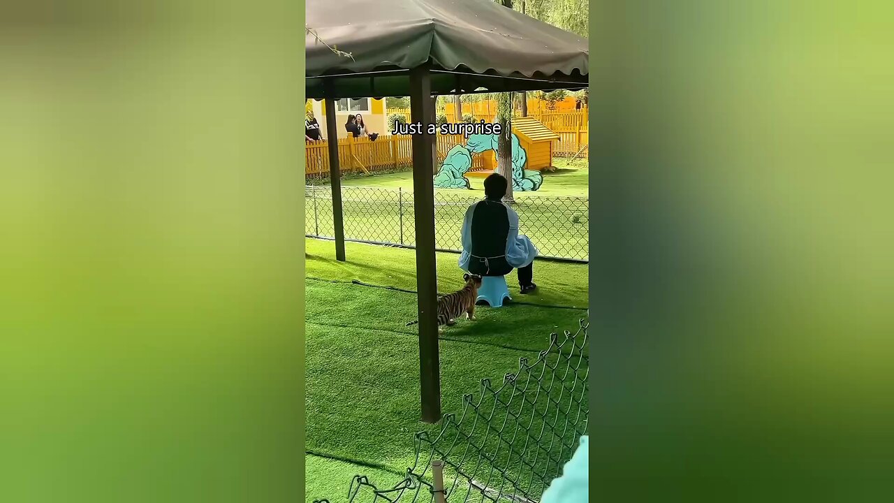 Tiger Cub 🐯🐅 Core
