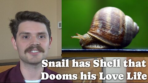 Snail Has Shell That Dooms His Love Life