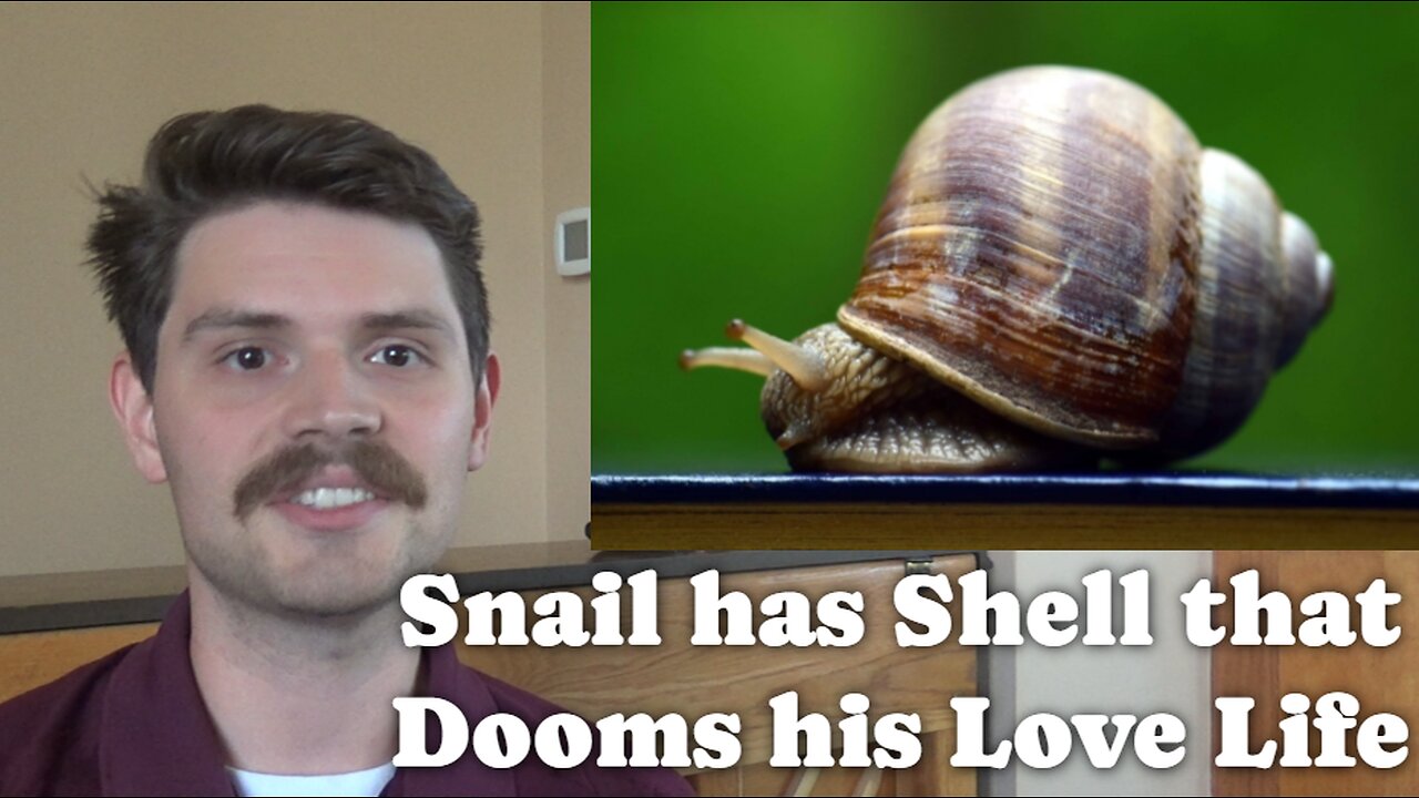 Snail Has Shell That Dooms His Love Life