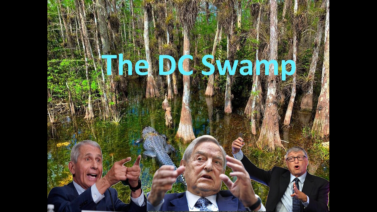 How Hard Could It Be To Drain The Swamp?