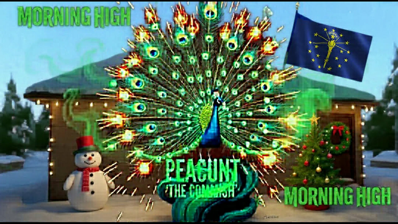 MORNING HIGH 🌞 WEDNESDAY ☁️☁️🚬🤘👀🦚