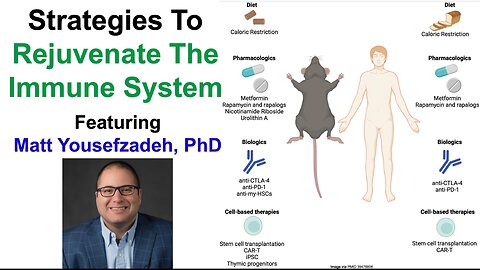 Strategies To Rejuvenate The Immune System