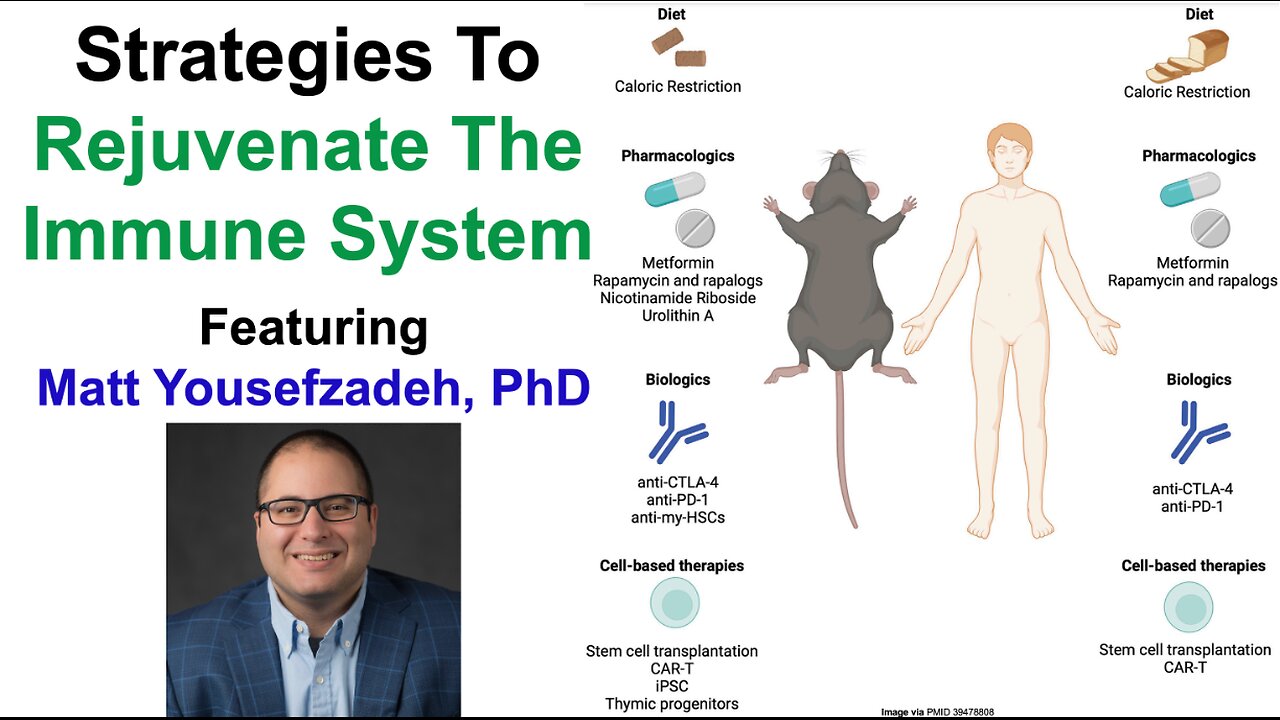 Strategies To Rejuvenate The Immune System