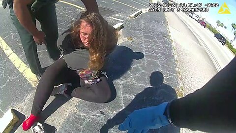 Florida Woman's bizarre confession during arrest - "I've done at least 4700 felonies"