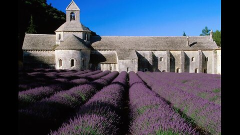 Wholistic Review: Psychic/Medium reading about the Wholistic Community