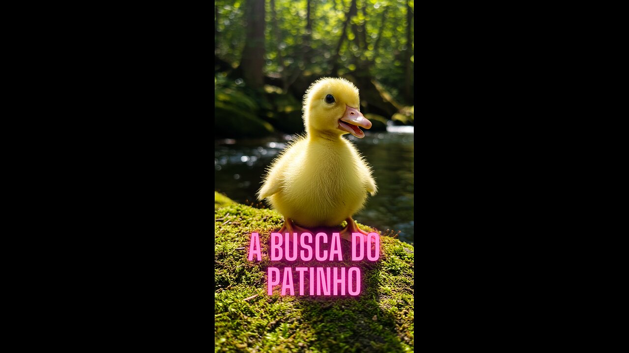 A Busca do Patinho