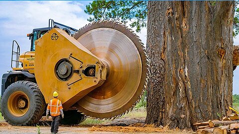 Extreme Dangerous Fastest Big Chainsaw Cutting Tree Machines | Monster Stump Removal Excavator #30